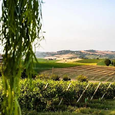 Tenuta Monvillone & Restaurant *