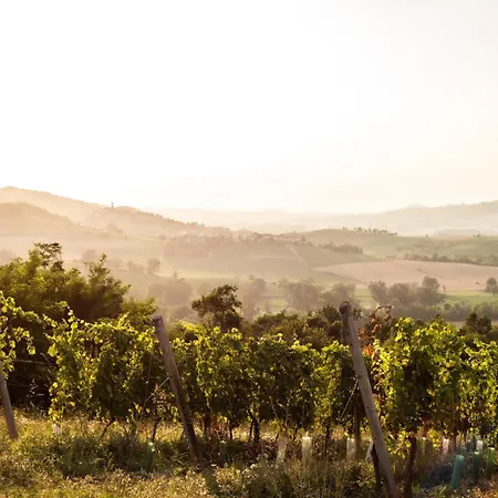 Tenuta Monvillone & Restaurant 세레세토