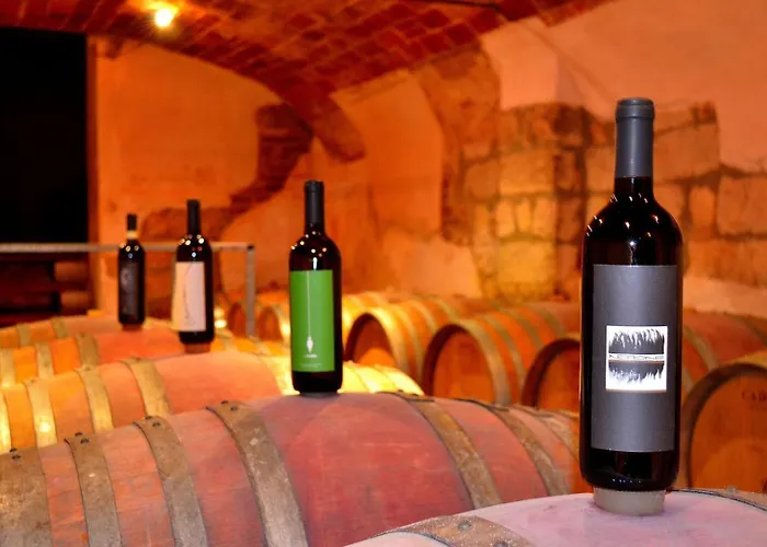 Alojamento de Turismo Rural Tenuta Monvillone & Restaurant Cereseto