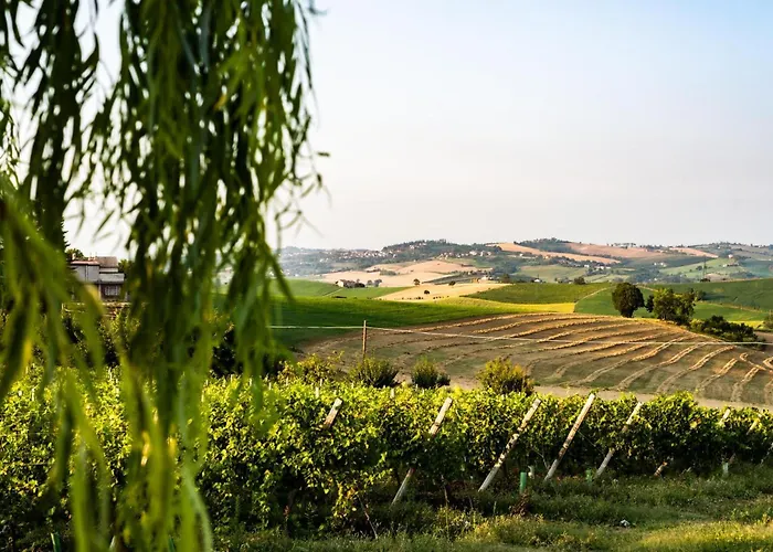 Tenuta Monvillone & Restaurant *
